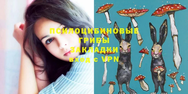 экстази Абаза