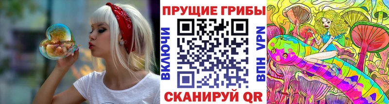Галлюциногенные грибы мухоморы  даркнет сайт  Красавино 